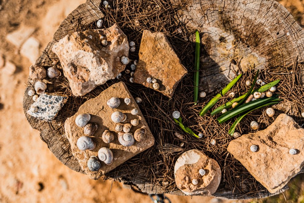Sundaland Hominin Fossil Site Discovery
